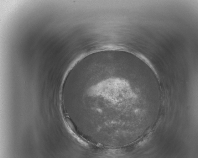 X0000067501381200604150056