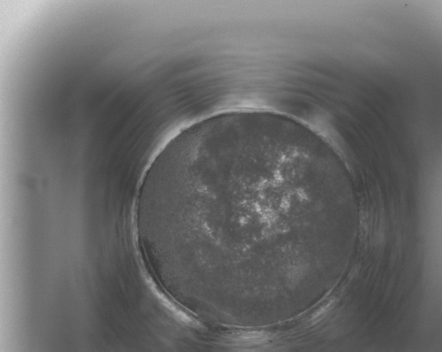 X0000067501382200604150056