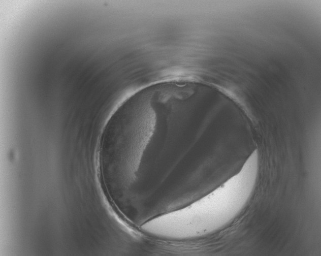 X0000067501383200604150056