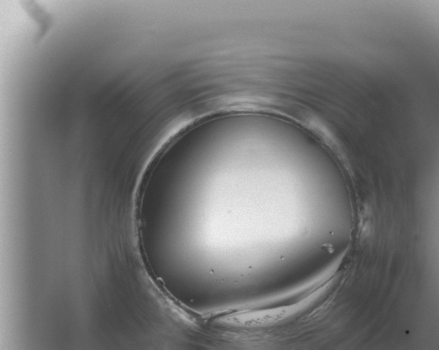 X0000067501384200604150056