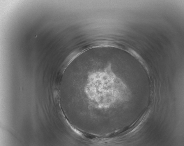 X0000067501385200604150056