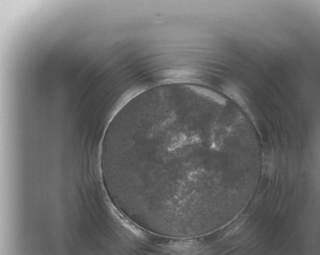 X0000067501386200604150056