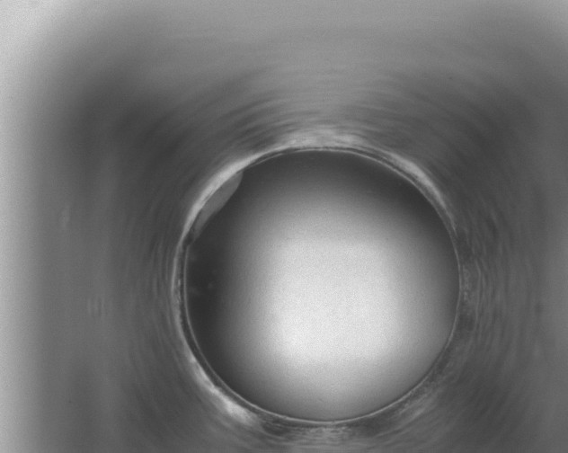 X0000067501387200604150056