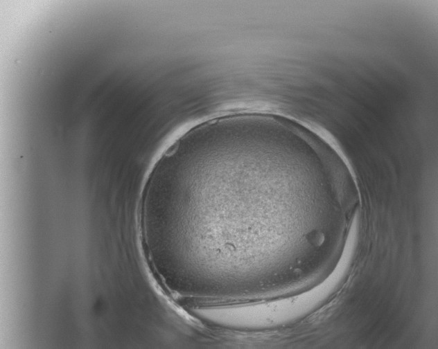 X0000067501389200604150056