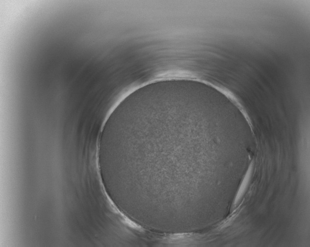 X0000067501390200604150056