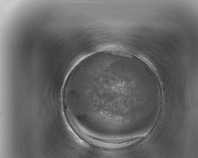 X0000067501392200604150056