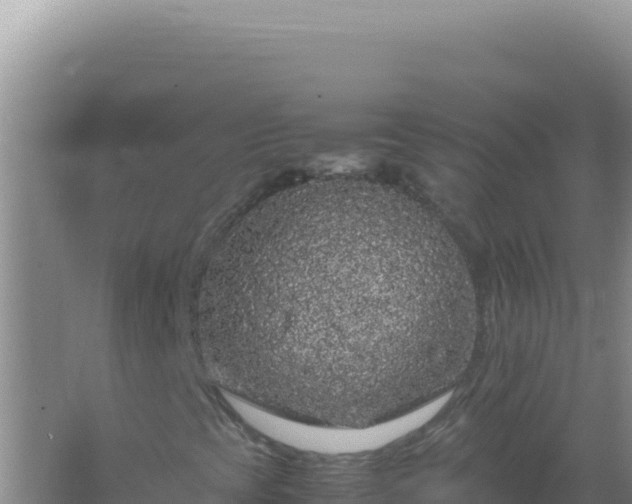 X0000067501393200604150055