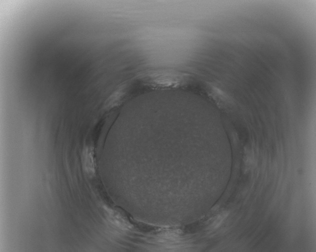 X0000067501394200604150055