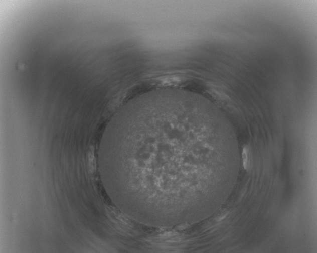 X0000067501395200604150055