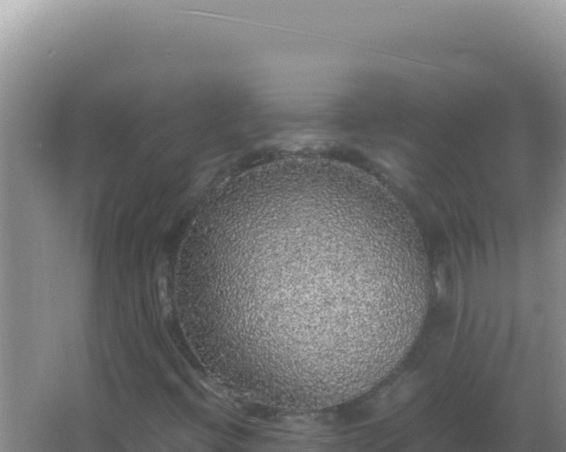 X0000067501396200604150055