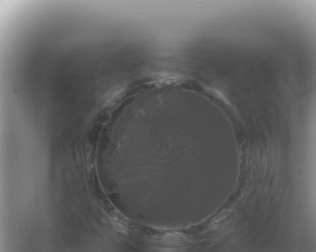 X0000067501399200604150055