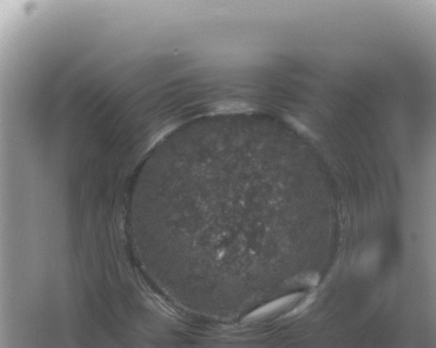 X0000067501401200604150055