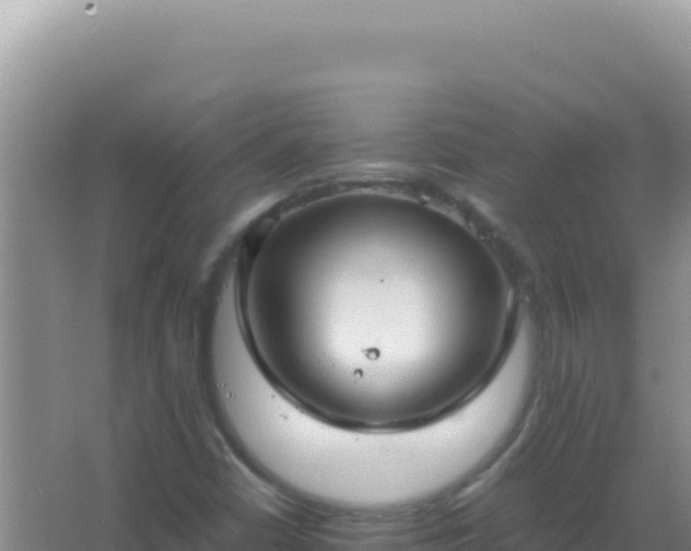 X0000067501402200604150055