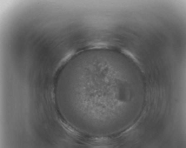 X0000067501403200604150055