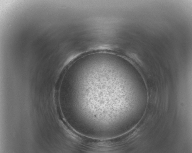 X0000067501404200604150056