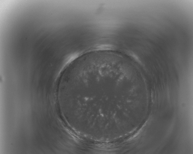 X0000067501405200604150056