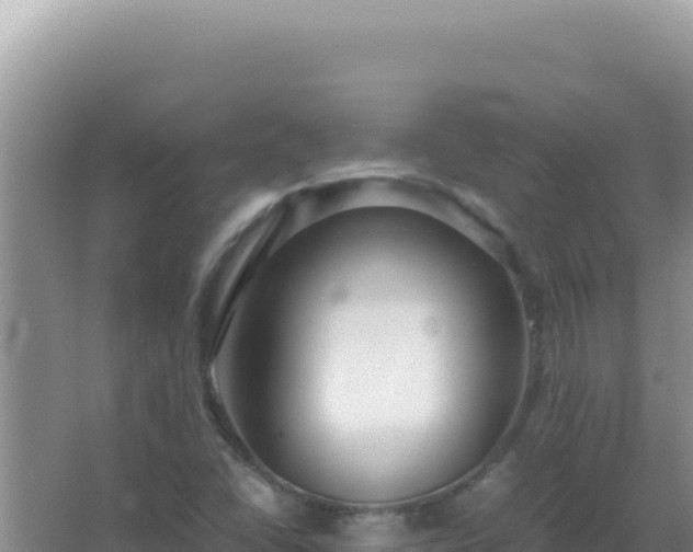 X0000067501406200604150056