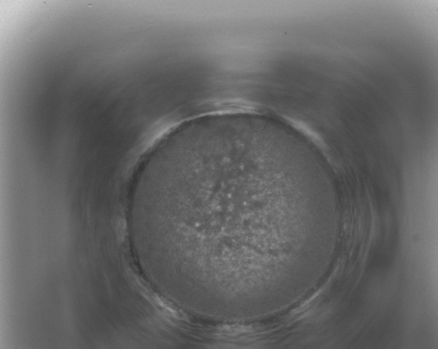 X0000067501407200604150056