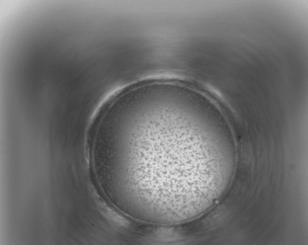 X0000067501408200604150056