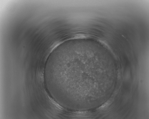 X0000067501409200604150056