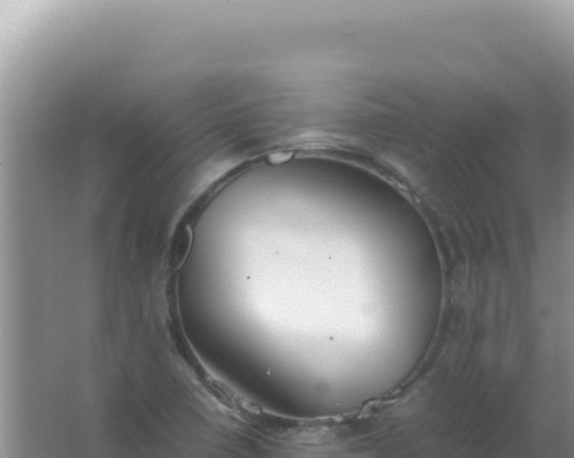 X0000067501410200604150056