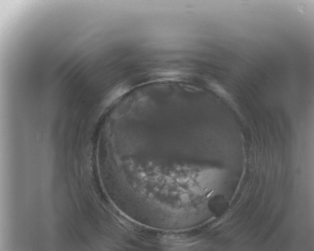 X0000067501411200604150056