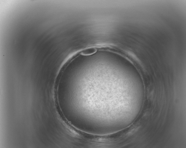 X0000067501412200604150056