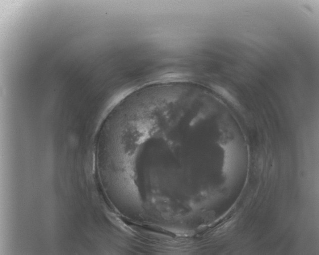 X0000067501413200604150056