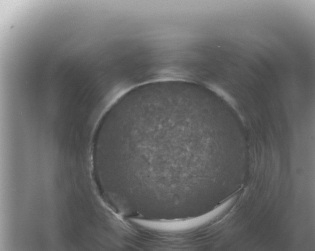 X0000067501415200604150056