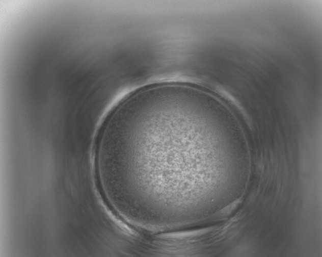 X0000067501416200604150056