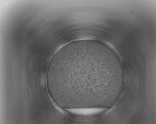 X0000067501417200604150056