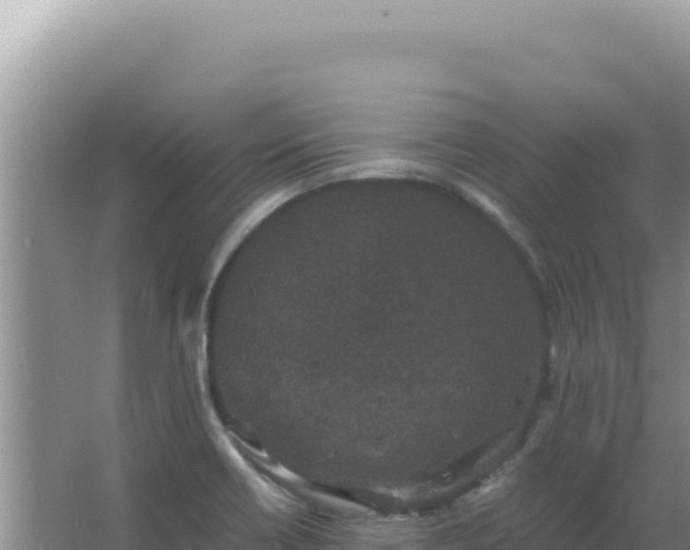 X0000067501418200604150056