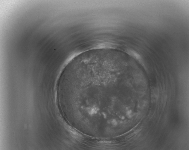 X0000067501419200604150056