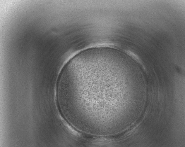 X0000067501420200604150056