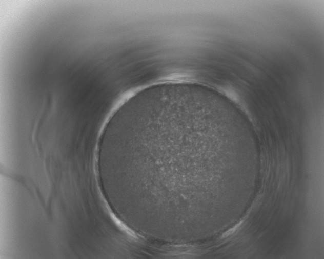 X0000067501421200604150056