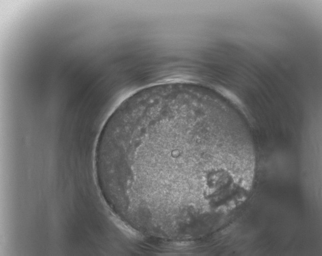 X0000067501423200604150056