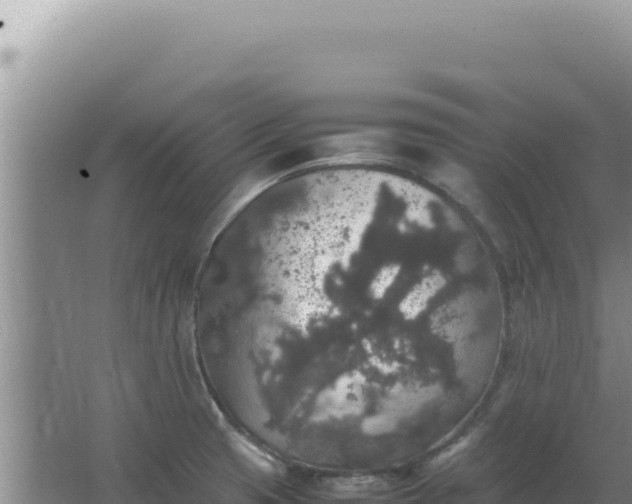 X0000067501425200604150056