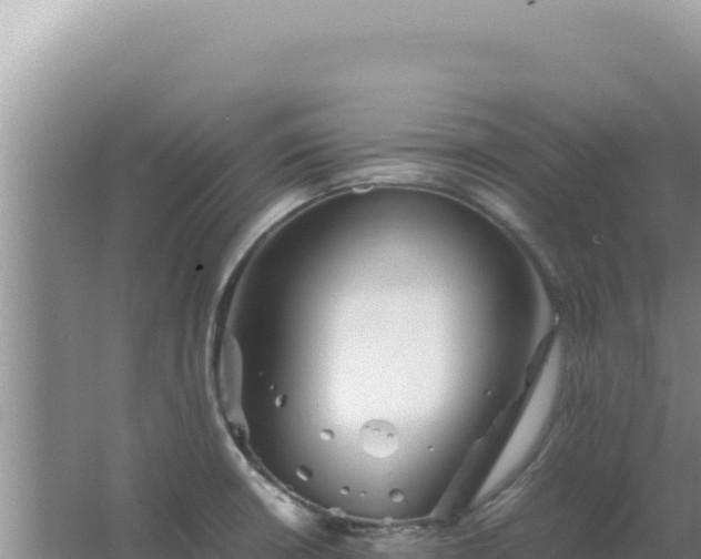 X0000067501426200604150056