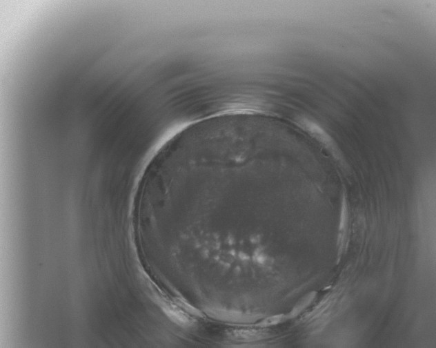 X0000067501427200604150056