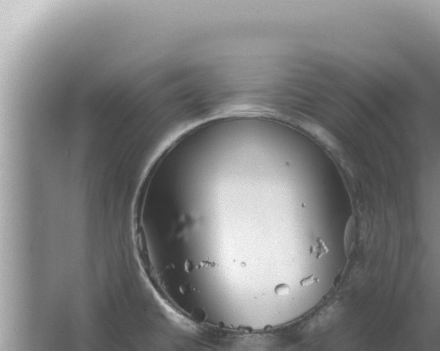 X0000067501430200604150056