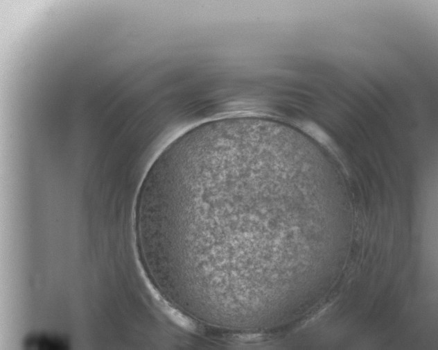 X0000067501431200604150056