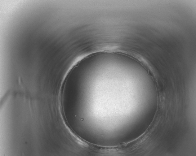 X0000067501432200604150056