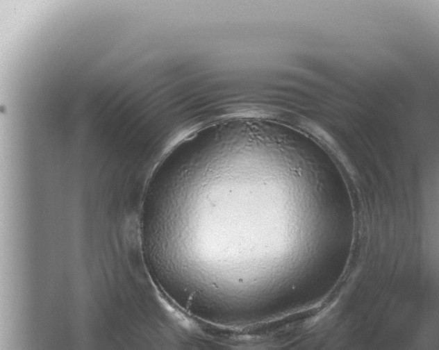 X0000067501433200604150056