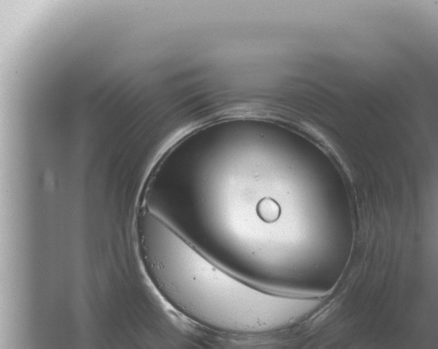 X0000067501434200604150056