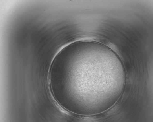 X0000067501436200604150056