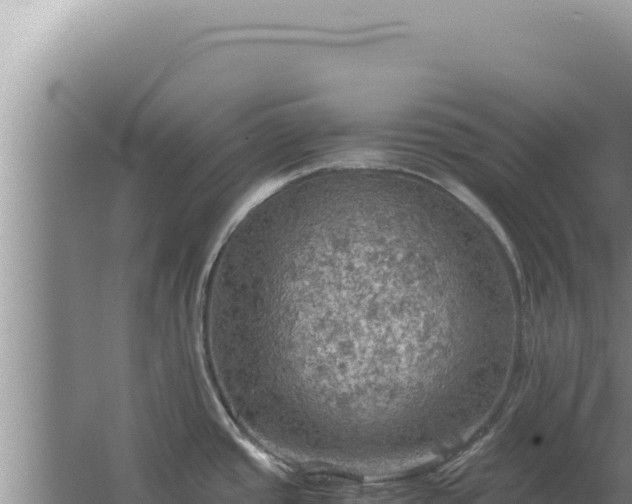 X0000067501437200604150056