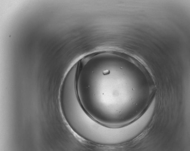 X0000067501438200604150056