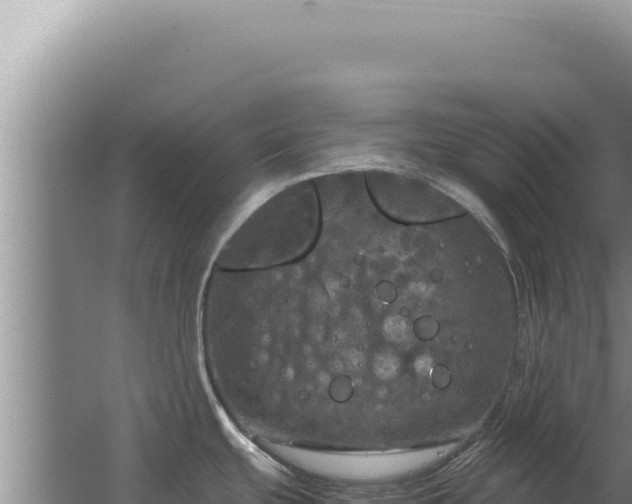 X0000067501439200604150056