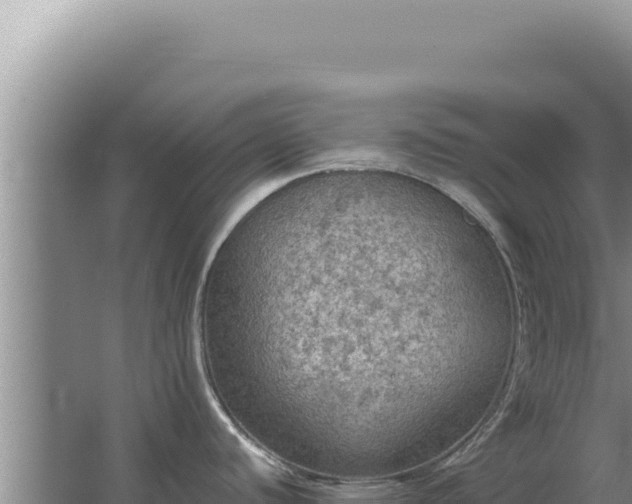 X0000067501440200604150056