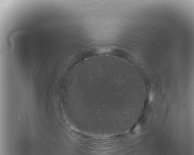 X0000067501441200604150055